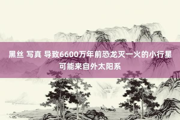 黑丝 写真 导致6600万年前恐龙灭一火的小行星可能来自外太阳系