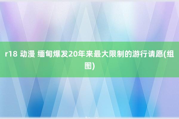 r18 动漫 缅甸爆发20年来最大限制的游行请愿(组图)