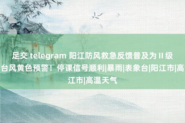 足交 telegram 阳江防风救急反馈普及为Ⅱ级，发布台风黄色预警！停课信号顺利|暴雨|表象台|阳江市|高温天气