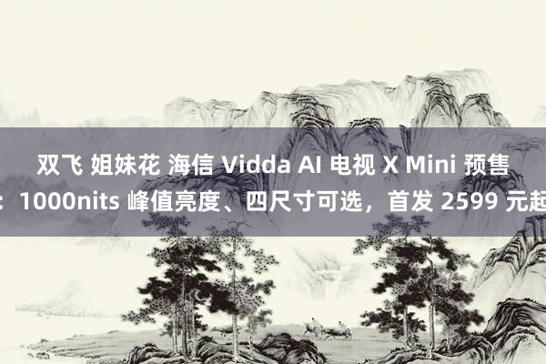 双飞 姐妹花 海信 Vidda AI 电视 X Mini 预售：1000nits 峰值亮度、四尺寸可选，首发 2599 元起