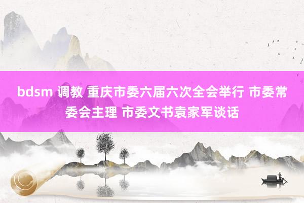 bdsm 调教 重庆市委六届六次全会举行 市委常委会主理 市委文书袁家军谈话