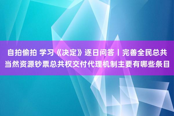 自拍偷拍 学习《决定》逐日问答丨完善全民总共当然资源钞票总共权交付代理机制主要有哪些条目