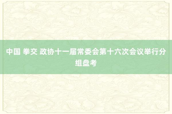 中国 拳交 政协十一届常委会第十六次会议举行分组盘考